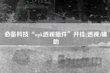 必备科技“wpk透视插件	”开挂(透视)辅助