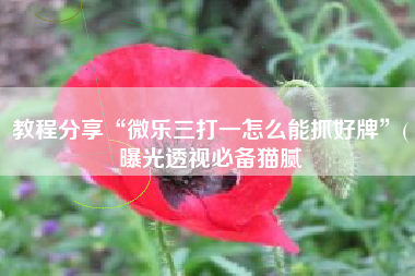 教程分享“微乐三打一怎么能抓好牌”(曝光透视必备猫腻