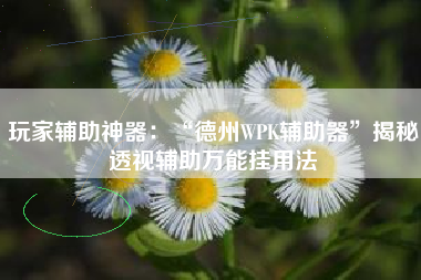 玩家辅助神器：“德州WPK辅助器”揭秘透视辅助万能挂用法