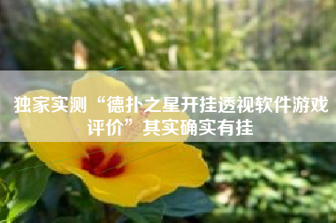 独家实测“德扑之星开挂透视软件游戏评价”其实确实有挂