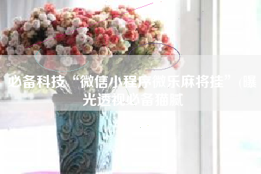 必备科技“微信小程序微乐麻将挂”(曝光透视必备猫腻