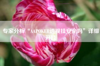 专家分析“AAPOKER透视挂安全吗”详细开挂