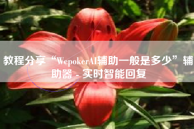 教程分享“WepokerAI辅助一般是多少”辅助器 - 实时智能回复