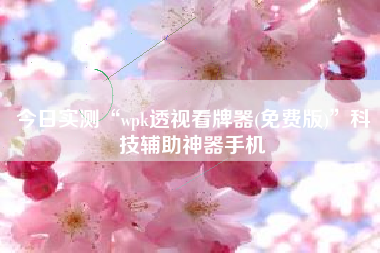 今日实测“wpk透视看牌器(免费版)”科技辅助神器手机