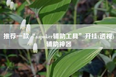 推荐一款“aapoker辅助工具”开挂(透视)辅助神器