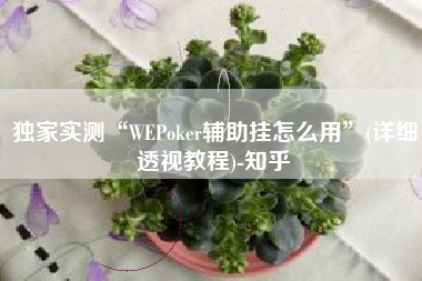 独家实测“WEPoker辅助挂怎么用”(详细透视教程)-知乎