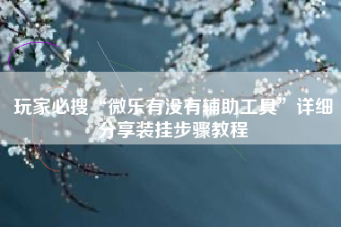玩家必搜“微乐有没有辅助工具”详细分享装挂步骤教程