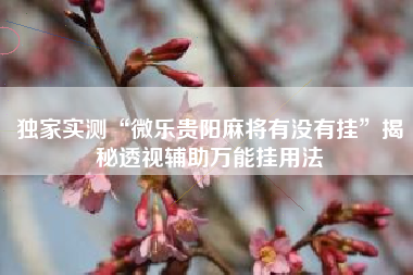 独家实测“微乐贵阳麻将有没有挂”揭秘透视辅助万能挂用法