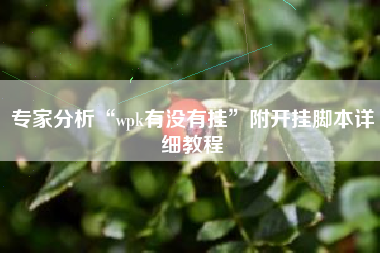 专家分析“wpk有没有挂”附开挂脚本详细教程