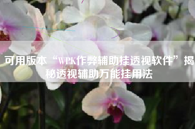 可用版本“WPK作弊辅助挂透视软件”揭秘透视辅助万能挂用法