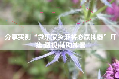 分享实测“微乐家乡麻将必赢神器	”开挂(透视)辅助神器