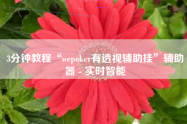 3分钟教程“wepoker有透视辅助挂”辅助器 - 实时智能