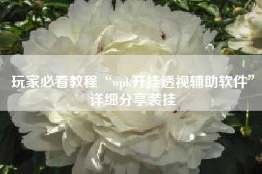 玩家必看教程“wpk开挂透视辅助软件”详细分享装挂