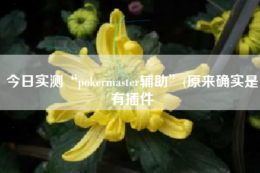 今日实测“pokermaster辅助”(原来确实是有插件