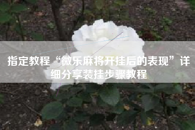 指定教程“微乐麻将开挂后的表现”详细分享装挂步骤教程