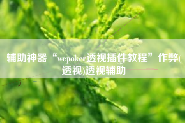辅助神器“wepoker透视插件教程”作弊(透视)透视辅助