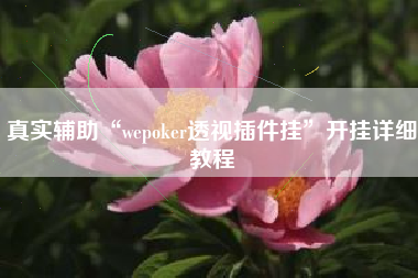 真实辅助“wepoker透视插件挂	”开挂详细教程