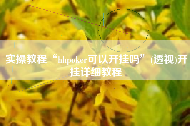 实操教程“hhpoker可以开挂吗”(透视)开挂详细教程