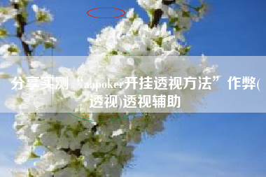 分享实测“aapoker开挂透视方法”作弊(透视)透视辅助