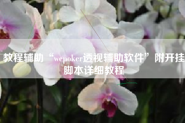教程辅助“wepoker透视辅助软件”附开挂脚本详细教程