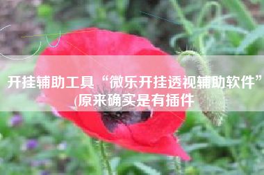 开挂辅助工具“微乐开挂透视辅助软件”(原来确实是有插件