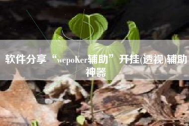 软件分享“wepoKer辅助	”开挂(透视)辅助神器