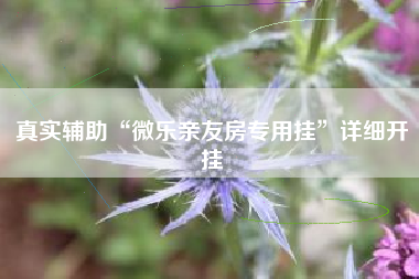 真实辅助“微乐亲友房专用挂”详细开挂