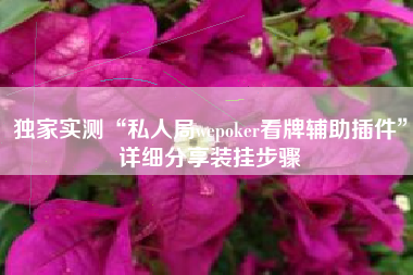 独家实测“私人局wepoker看牌辅助插件”详细分享装挂步骤