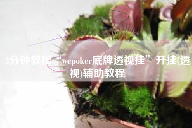 3分钟教程“wepoker底牌透视挂	”开挂(透视)辅助教程
