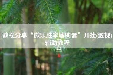 教程分享“微乐胜率辅助器”开挂(透视)辅助教程