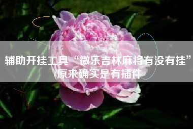 辅助开挂工具“微乐吉林麻将有没有挂	”(原来确实是有插件