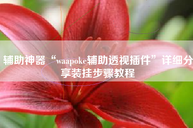 辅助神器“waapoke辅助透视插件”详细分享装挂步骤教程