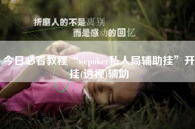 今日必看教程“wepoker私人局辅助挂”开挂(透视)辅助