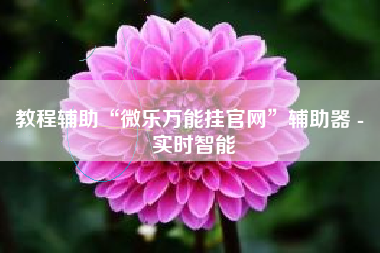 教程辅助“微乐万能挂官网”辅助器 - 实时智能