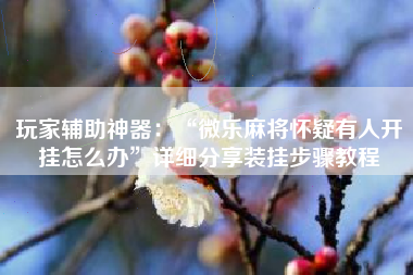 玩家辅助神器：“微乐麻将怀疑有人开挂怎么办”详细分享装挂步骤教程