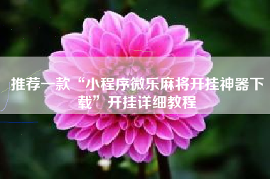 推荐一款“小程序微乐麻将开挂神器下载”开挂详细教程