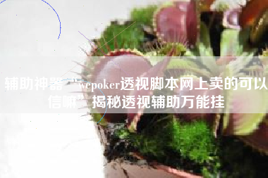 辅助神器“wepoker透视脚本网上卖的可以信嘛”揭秘透视辅助万能挂