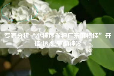 专家分析“小程序雀神广东麻将挂”开挂(透视)辅助神器