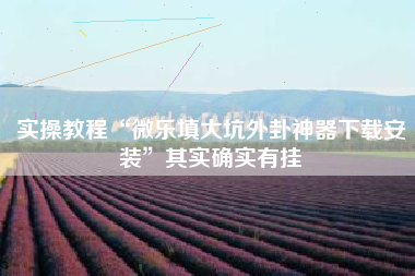 实操教程“微乐填大坑外卦神器下载安装	”其实确实有挂