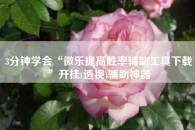 3分钟学会“微乐提高胜率辅助工具下载	”开挂(透视)辅助神器