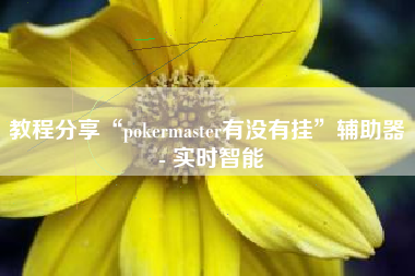 教程分享“pokermaster有没有挂	”辅助器 - 实时智能