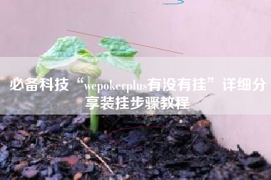 必备科技“wepokerplus有没有挂”详细分享装挂步骤教程