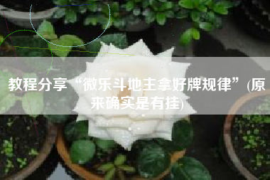 教程分享“微乐斗地主拿好牌规律”(原来确实是有挂)