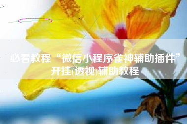 必看教程“微信小程序雀神辅助插件”开挂(透视)辅助教程