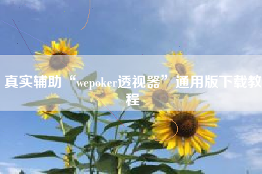 真实辅助“wepoker透视器	”通用版下载教程