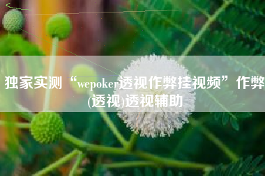 独家实测“wepoker透视作弊挂视频”作弊(透视)透视辅助