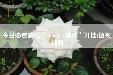 今日必看教程“wepoker 辅助”开挂(透视)辅助