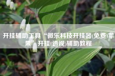 开挂辅助工具“微乐科技开挂器(免费)苹果”开挂(透视)辅助教程