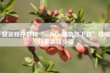 安装程序教程“wePoker辅助器下载”详细分享装挂步骤