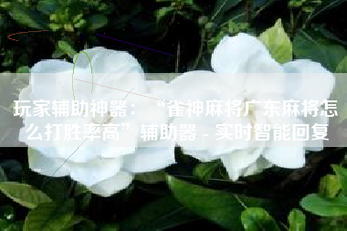 玩家辅助神器：“雀神麻将广东麻将怎么打胜率高”辅助器 - 实时智能回复